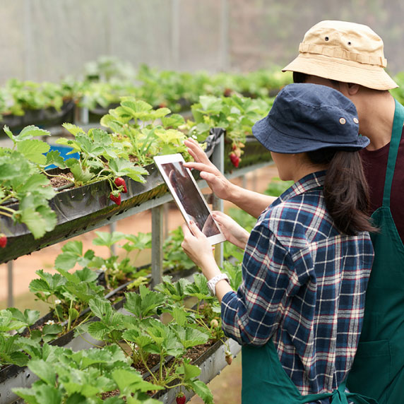 Farm Tours